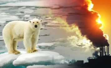 ONU pide un giro urgente para enfrentar la crisis ambiental global