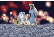 Llaman a evitar la compra de musgo y heno para nacimientos