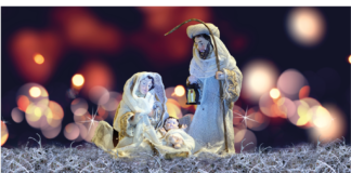 Llaman a evitar la compra de musgo y heno para nacimientos