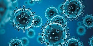 Confirman primer caso de influenza A H3N2 subclado K