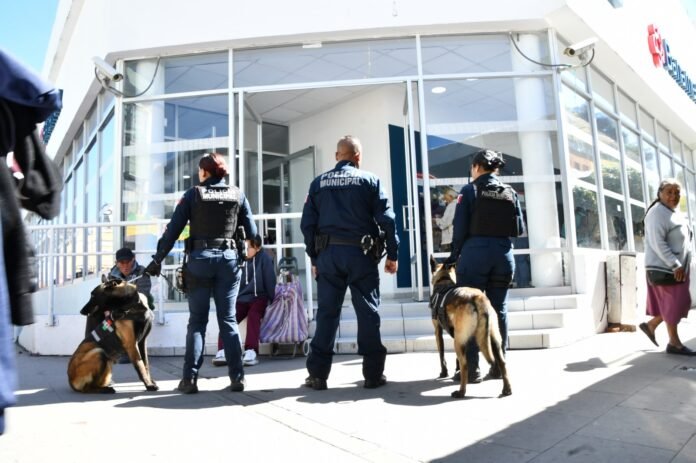 a4c7d39c-87f9-4d0e-9860-9a96b395a7fb