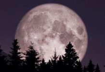 Luna fría la última súper luna de 2025