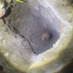 Hallan cráneo humano en Tlapacoya