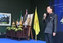 Belleza y tristeza enmarcan el Día Nacional de Tailandia