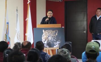 Inicia programa estatal para la conservación del jaguar