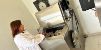 UAEH: impulsan uso terapéutico de la cebada desde la ciencia