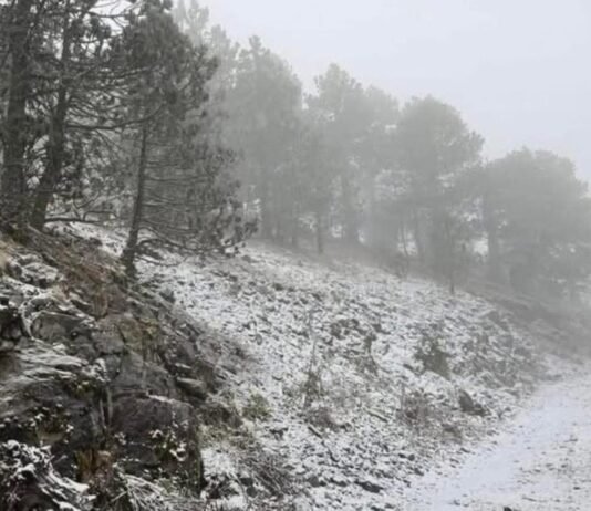Nuevo León registra caída de nieve