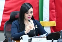 Plantean fortalecer seguridad en refugios para víctimas de violencia