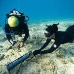 Zooxantela: arte sobre la importancia de los corales marinos