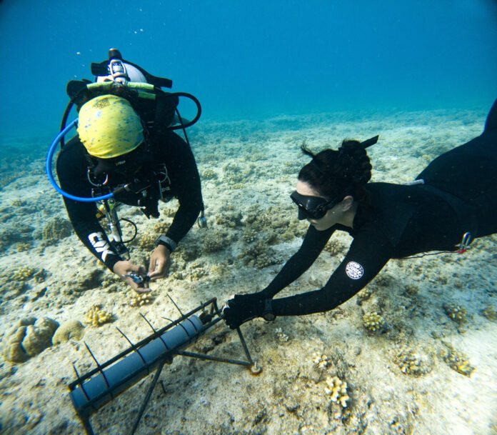 C:DCIM100GOPROGOPR6468.GPR