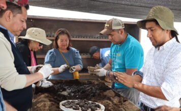 Hidalgo impulsa reforestación y participación ciudadana con el programa “Esferas de Vida”