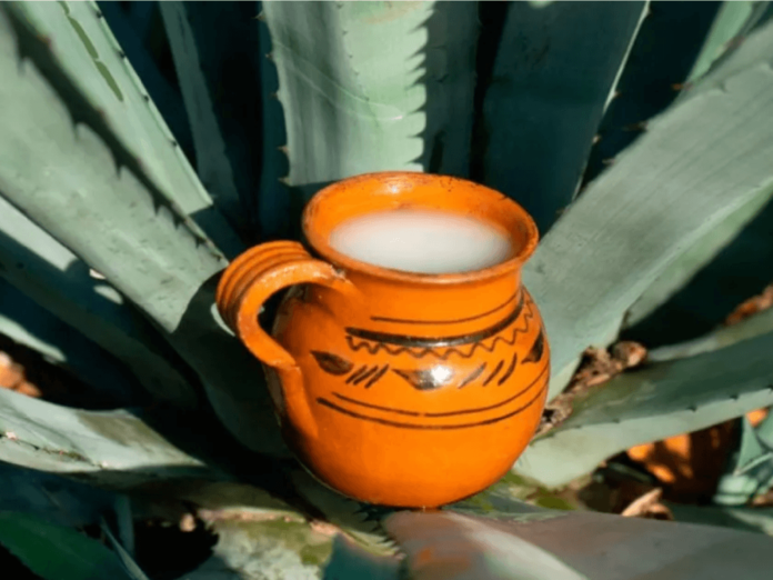 Pulque-1024x768
