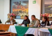 Coordinación interinstitucional por proyecto del Tren México–Querétaro