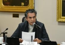 Denuncia Partido Verde crueldad animal en Huejutla, Hidalgo