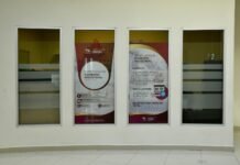 Impulsa SARE formalización de negocios de bajo impacto