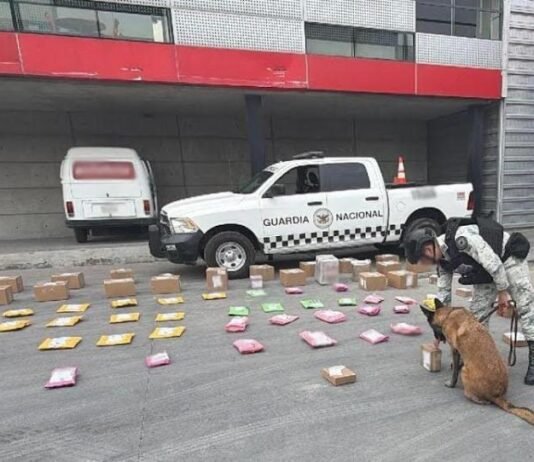 Nuevo León: interceptan droga en empresa de paquetería