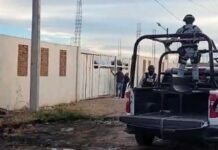 Sheinbaum confirma coordinación federal tras masacre en Salamanca