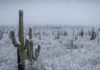 La Tercera tormenta invernal impactará a Sonora