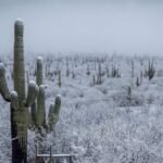 La Tercera tormenta invernal impactará a Sonora