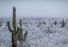 La Tercera tormenta invernal impactará a Sonora