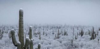 La Tercera tormenta invernal impactará a Sonora