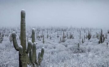 La Tercera tormenta invernal impactará a Sonora