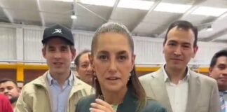 Olinia, el proyecto mexicano que estará disponible en 2027