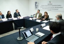 Senado analiza a fondo la figura de “jueces sin rostro”