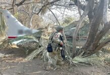 Cae avioneta con más de media tonelada de cocaína en Oaxaca