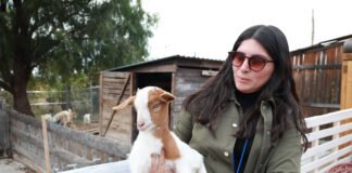 “GranjAventura”: educación ambiental y respeto animal en Pachuca