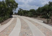 Abren convocatoria 2026 del programa “Construye tu Camino”