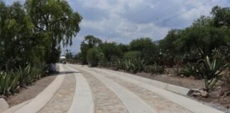 Abren convocatoria 2026 del programa “Construye tu Camino”