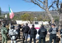 Aseguran predio con túnel clandestino y narcótico en Tepetitlán