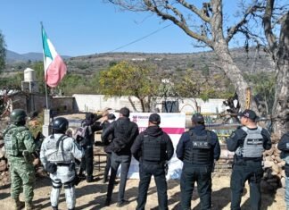 Aseguran predio con túnel clandestino y narcótico en Tepetitlán