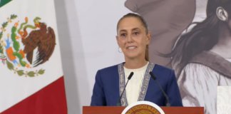 México cooperará en caso Epstein, si EE.UU. lo solicita: Sheinbaum