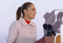 Morena y ningún partido son paraguas para delinquir: Sheinbaum