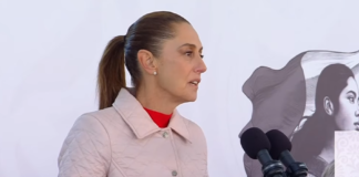 Morena y ningún partido son paraguas para delinquir: Sheinbaum