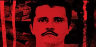 Reportan muerte de “El Mencho” tras operativo en Jalisco