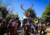 Pachuca a ritmo de Carnaval: identidad, color y orgullo hidalguense