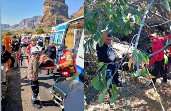 F6DCF892-EE20-41E6-B828-A0AA5910EE10