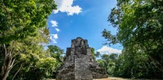 Muyil reabre sus puertas: la selva resguarda un tesoro milenario
