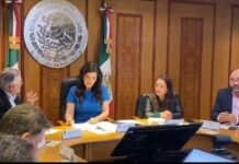 Somos México presenta propuesta de Reforma Electoral