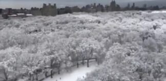 Nueva York como en un cuento de hadas tras histórica nevada