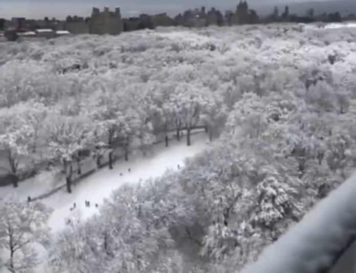 cad32a90-8a9d-4711-9381-18425a852033