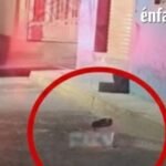 Hallan restos humanos dentro de una cubeta en Barrio Alto, Tula