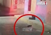 Hallan restos humanos dentro de una cubeta en Barrio Alto, Tula
