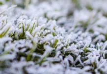 Hidalgo amanece bajo cero: heladas pintan de blanco Sierra y Altiplano