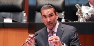 PVEM: al menos la mitad de la bancada votará contra la reforma electoral