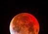 Eclipse total; la Luna se teñirá de rojo esta madrugada