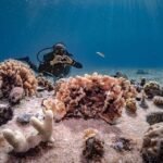 Nueva ruta aérea Monterrey–Cozumel fortalece conectividad turística